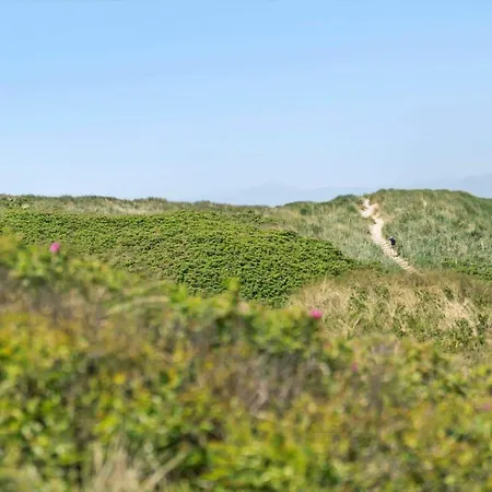 458-hvide-sande-mettes-bjerg-3-b 別荘 *