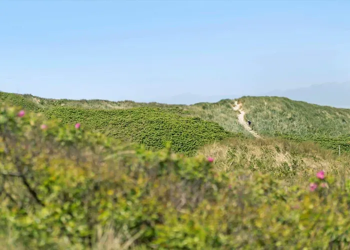 458-hvide-sande-mettes-bjerg-3-b Σπίτι διακοπών *